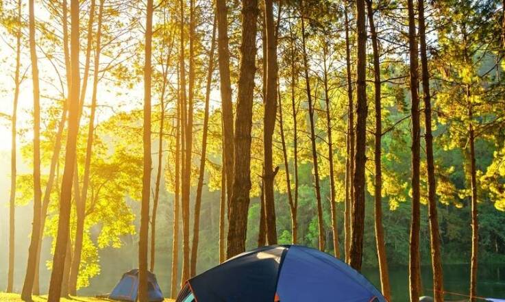 Jakie są korzyści z wyboru kempingu z miejscem do zmywania naczyń?