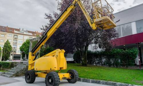 Podnośniki koszowe w pielęgnacji drzew – Krzysztof Milewski