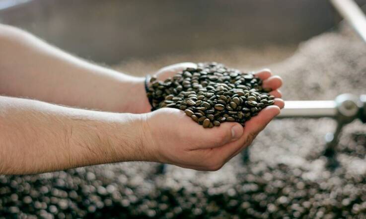 Dlaczego warto posiadać zieloną kawę w swojej palarni kawy?