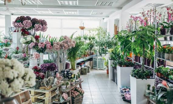 Jakie dodatki florystyczne warto wybrać do salonu?
