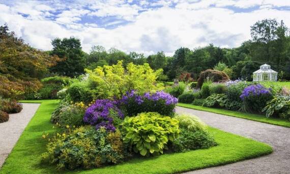 Korzyści płynące z zakupu krzewów ogrodowych od renomowanego producenta
