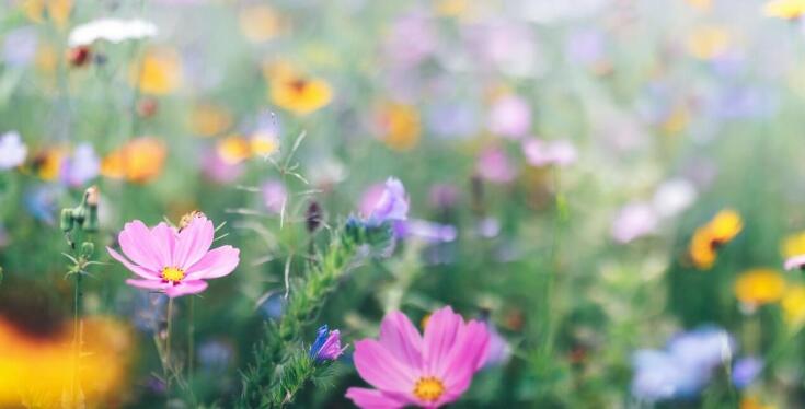 Flower boksy i ich rola w nowoczesnym florystyce