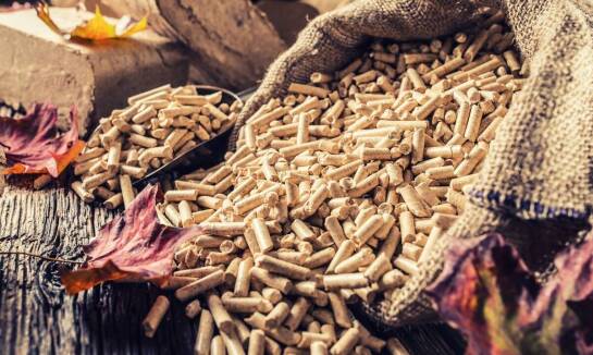 Faktory wpływające na cenę brykietu drzewnego i ich znaczenie dla konsumenta