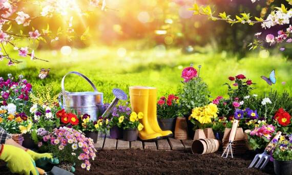 Przygotowanie ogrodu na zimę: jakie narzędzia warto wypożyczyć?