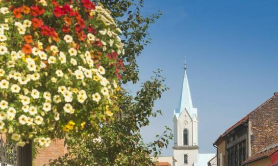 Jak przewodnik turystyczny po Gnieźnie wprowadza w świat legend i historii