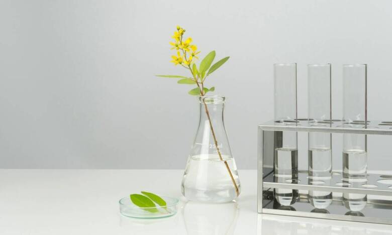 Jakie kompozycje zapachowe można uzyskać dzięki różnorodności surowców kosmetycznych?