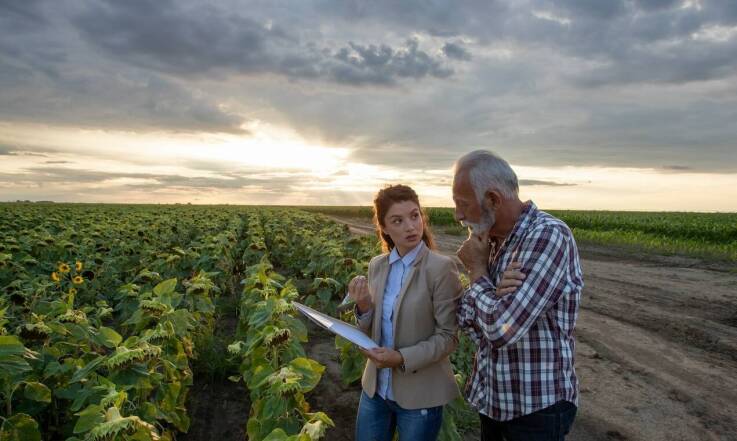 Jakie korzyści płyną z doradztwa agronomicznego przy hurtowym odbiorze zbóż?
