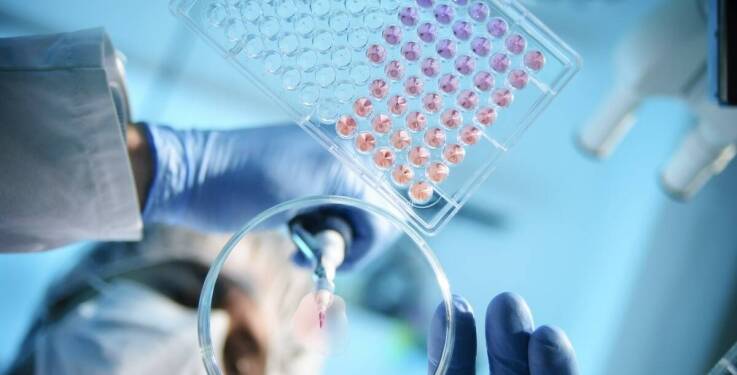 Komórki macierzyste w medycynie regeneracyjnej - jak wpływają na leczenie kręgosłupa?