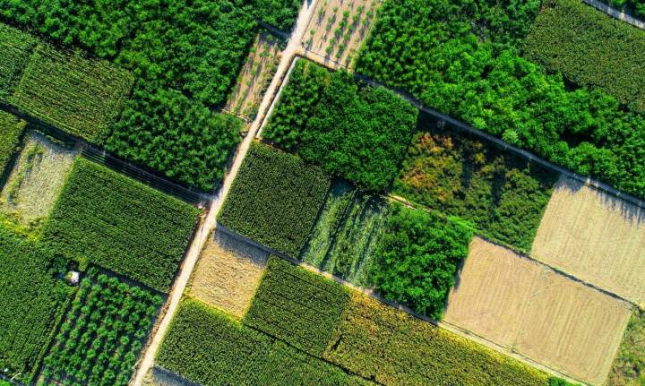Usługi geodezyjne a zarządzanie terenami zielonymi