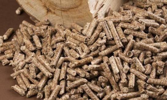 Jakie są najnowsze trendy w produkcji pelletu na rynku?