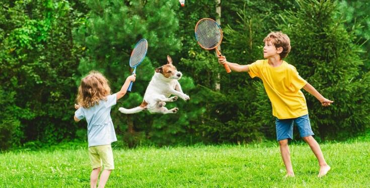 Różnorodność dysków motywacyjnych – jak dopasować je do temperamentu psa?