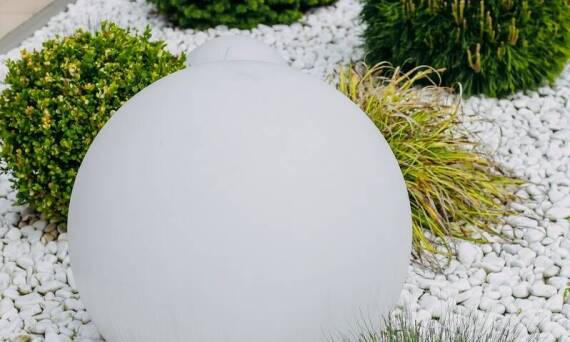 Trawy ozdobne jako element nowoczesnego designu ogrodowego