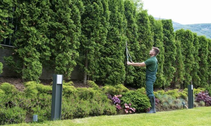 Jakie są najnowsze technologie stosowane w zakładaniu trawników?