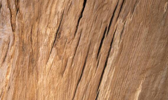 Jak drewno skandynawskie wpływa na trwałość elewacji budynków?