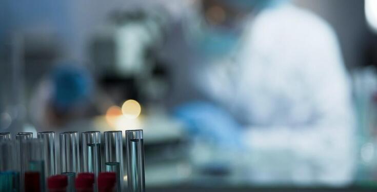 Analizy laboratoryjne dla zwierząt – co oferuje?