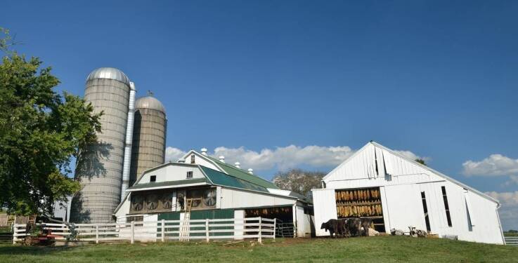 Klacze hodowlane – na co zwrócić uwagę podczas pierwszej wizyty w stadninie?