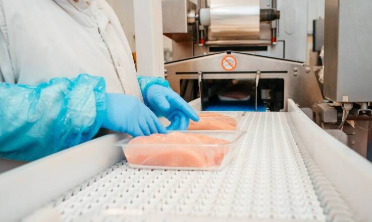 Rola nowoczesnych maszyn w produkcji mięsnej