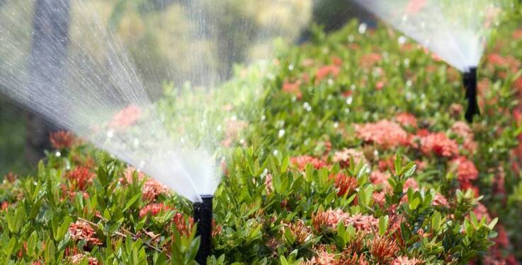 Projektowanie ogrodów a oszczędność wody – praktyczne rozwiązania