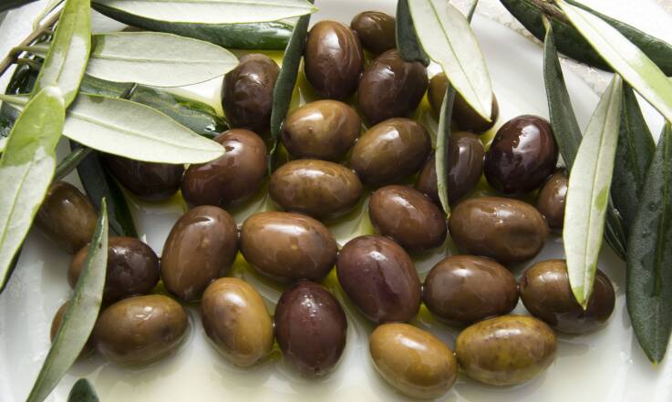 Ciekawostki o kuchni greckiej – sekrety i tradycje