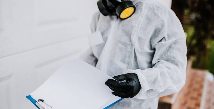 Dlaczego warto skorzystać z usług doświadczonej firmy przy zwalczaniu kun?