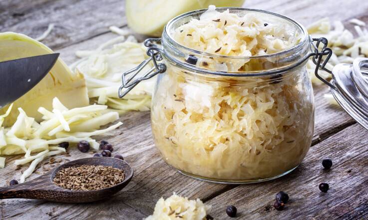 Wegańskie kultury bakterii – co to jest i czy naprawdę działają?