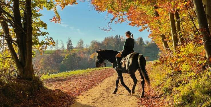 Jazda na koniach w Radawie – dla początkujących i zaawansowanych