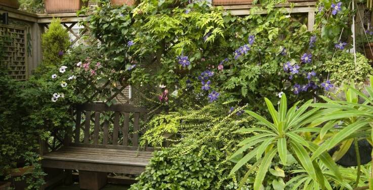 Projektowanie balkonów z pomocą sklepu ogrodniczego - inspiracje i porady