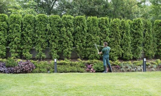 Jak zwiększyć wartość nieruchomości dzięki zarządzaniu zielenią?