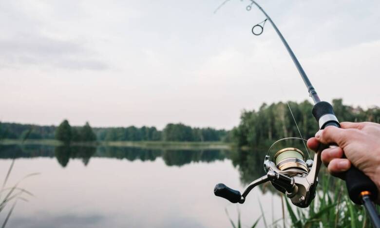 Różnice między deskami wakeboard dla początkujących i zaawansowanych