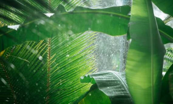 Jak folia zbrojona wpływa na efektywność systemów nawadniania?