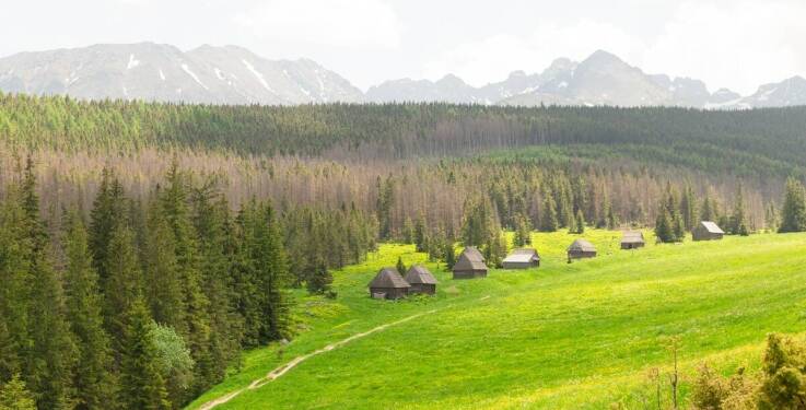 Komfortowe zakwaterowanie w sercu afrykańskiej przyrody – co oferujemy