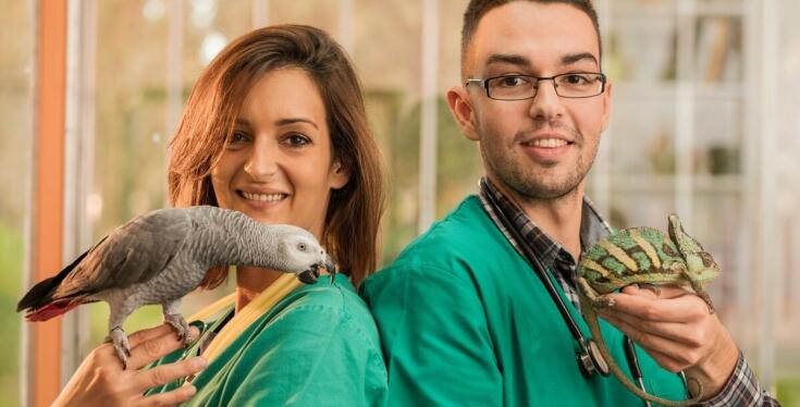 Jak zapewniamy komfort gryzoniom podczas pobytu w hotelu?