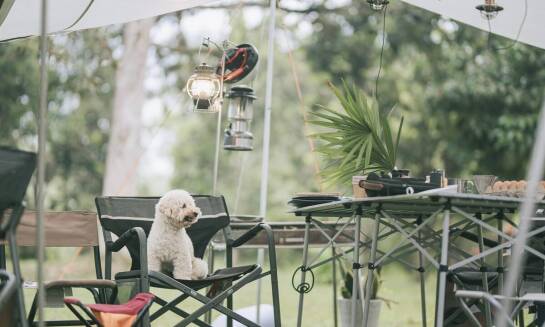 Kemping dla rowerzystów w Ustroniu Morskim