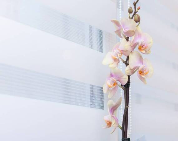 Jak rolety wpływają na trwałość i izolacyjność okien?