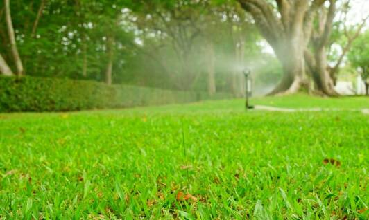Jakie korzyści niesie profesjonalna pielęgnacja trawników przez firmę ogrodniczą?
