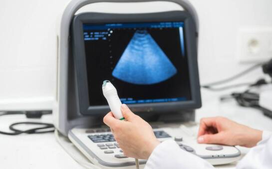 Jakie znaczenie ma USG miednicy małej w ocenie funkcji gonad?