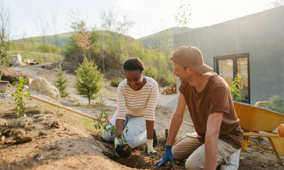 Sprzątanie terenów zewnętrznych we wspólnotach mieszkaniowych – co warto wiedzieć?