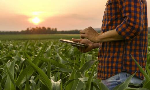 Materiały siewne: jak uniknąć najczęstszych błędów przy zakupie?