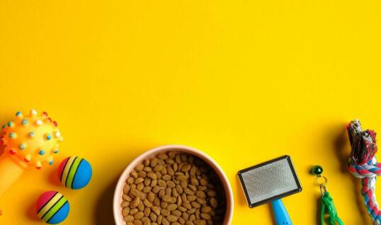 Czy warto stosować dietę rotacyjną z różnymi smakami karmy suchej dla psa?