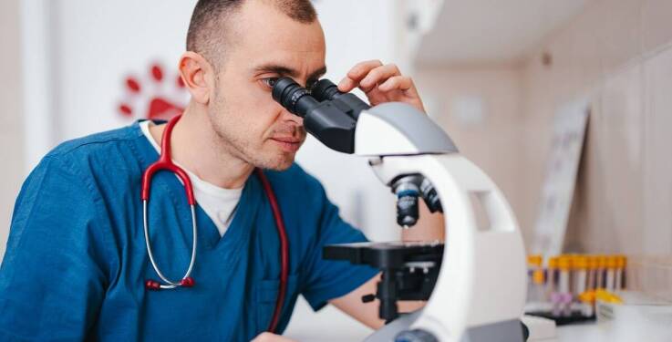 Zastosowanie nowoczesnych technologii w chirurgii urazowej weterynarii