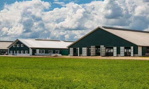 Wpływ ergonomicznych stanowisk pracy na efektywność w halach udojowych