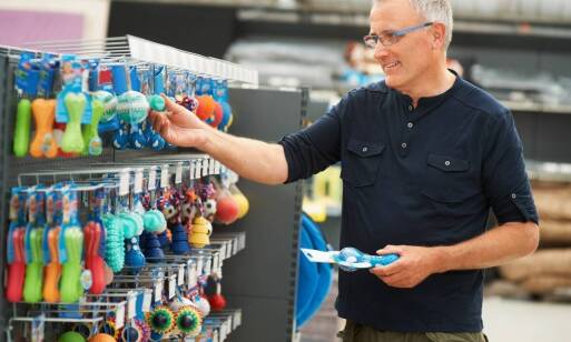 Rola zabaw na świeżym powietrzu w hotelu dla psów z problemami behawioralnymi