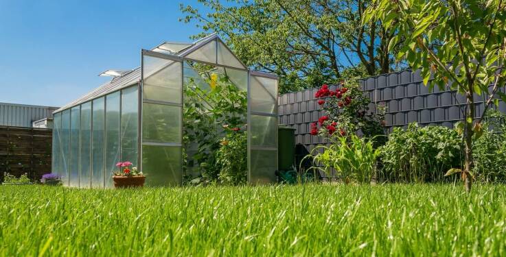 Jak gospodarstwo szkółkarskie lubelskie zapewnia jakość i zdrowie swoich roślin?