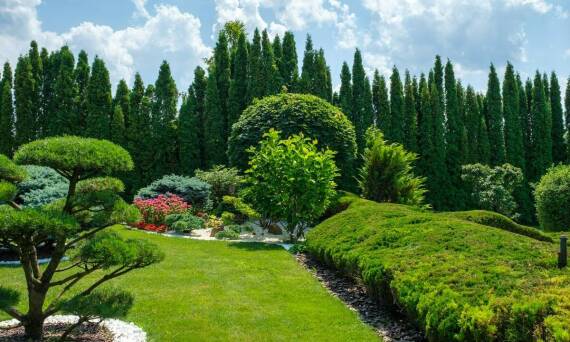 Jakie aspekty ekologiczne uwzględnić przy projektowaniu systemu nawadniającego?