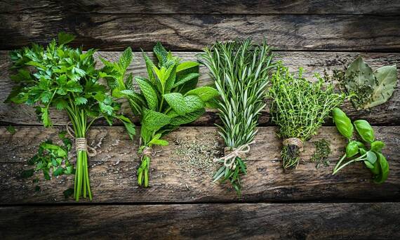 Ziołowe inspiracje w menu restauracji w Wiśle – jak natura wpływa na smak potraw?