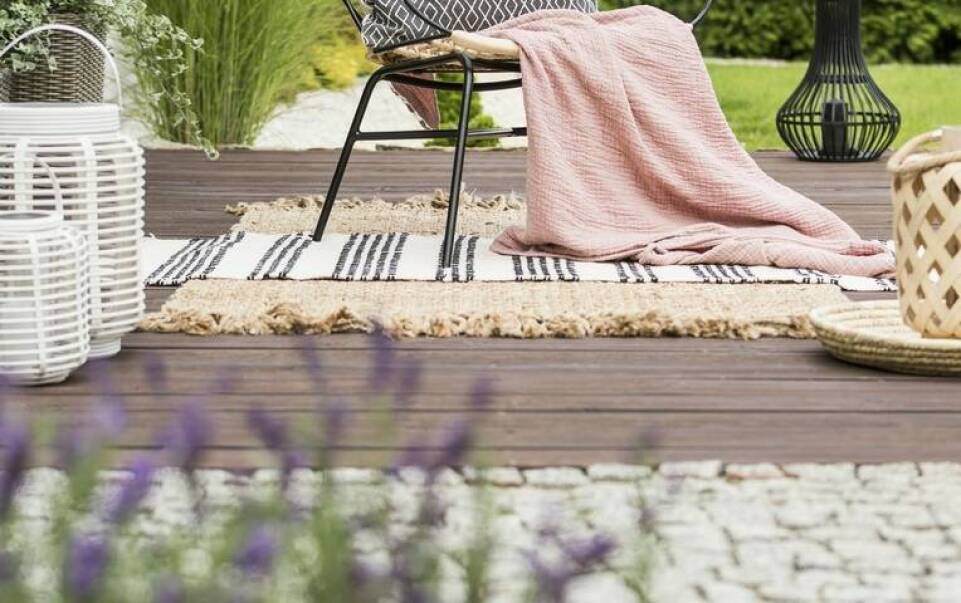 Zalety posiadania róż rabatowych w przydomowym ogrodzie