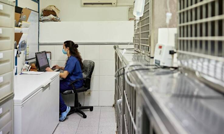 Jakie usługi weterynaryjne oferuje kompleksowa diagnostyka obrazowa?
