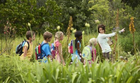Wyprawy trekkingowe dla początkujących – jak dbać o środowisko podczas wędrówek?