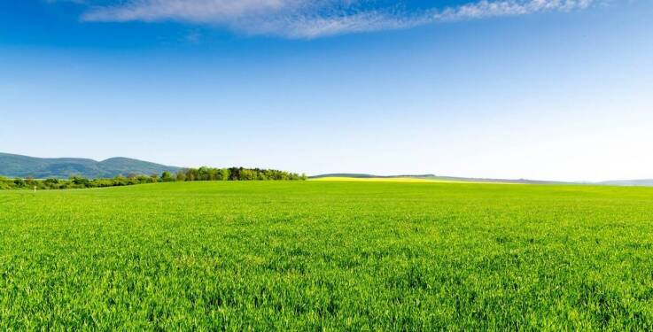 Dlaczego czarnoziem jest cennym materiałem do poprawy jakości gleby?