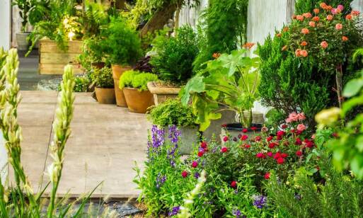 Jakie są zalety korzystania z domku ziołowego w hotel spa warszawa?